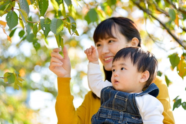 結婚は早い方が良い？なぜ結婚は早い方が良いのか徹底解説