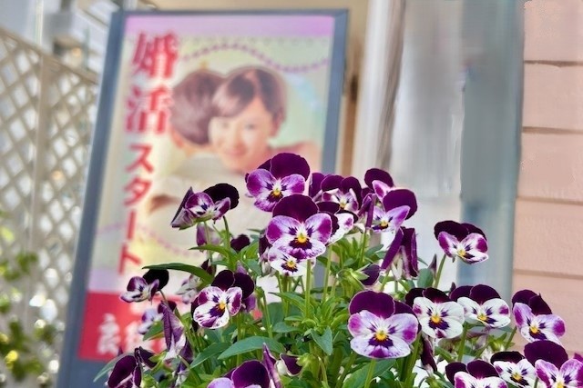 棚から牡丹餅のイメージ画像
