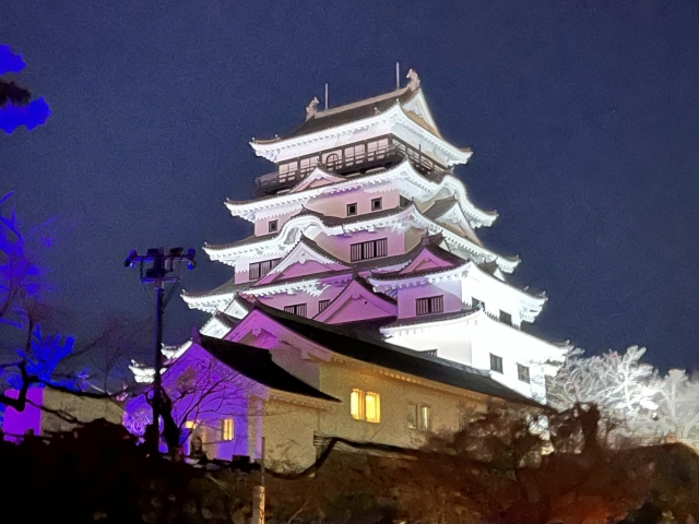 「チームラボ 福山城 光の祭」のイメージ画像