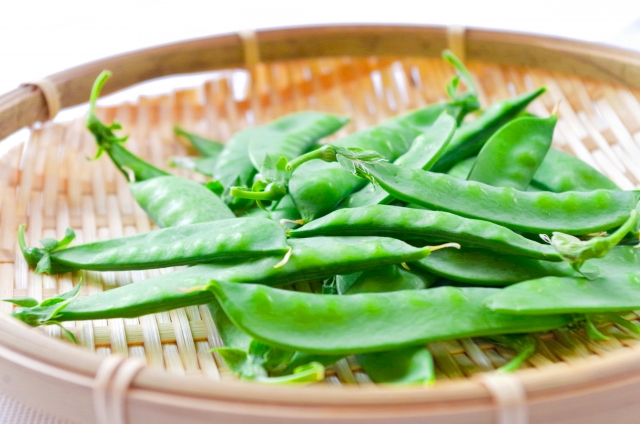 6月の旬の野菜　えんどう豆（絹さや）のイメージ