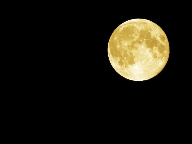 お月見のイメージ画像