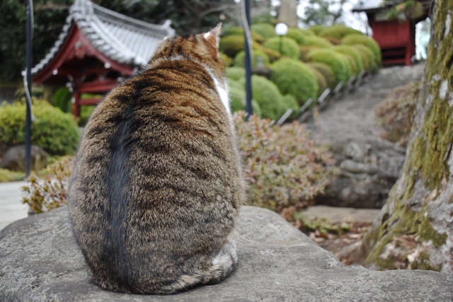 パワーストーン？気は持ちよう？のイメージ画像