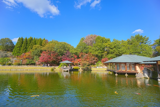 秋のお勧めデート♪紅葉　パート3のイメージ画像