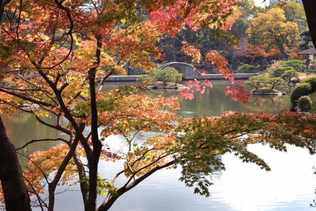 秋のお勧めデート♪紅葉のイメージ画像