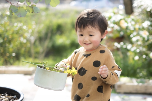 ちびっこ　お料理男子のイメージ画像