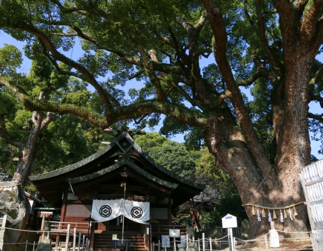 尾道の艮神社のイメージ画像