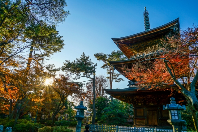 世田谷「豪徳寺」のイメージ画像