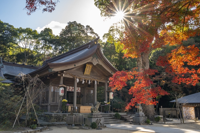 まずは、自分の氏神様の神社に参拝を！のイメージ画像