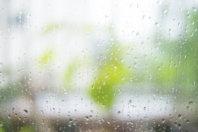 梅雨どきのいいところ　その?のイメージ画像