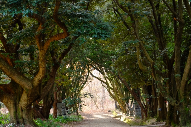 トンネルを抜けたらのイメージ画像