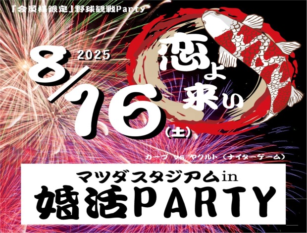 野球観戦PARTYのイメージ画像