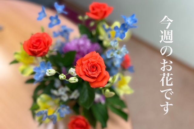 今週のお花ですのイメージ画像