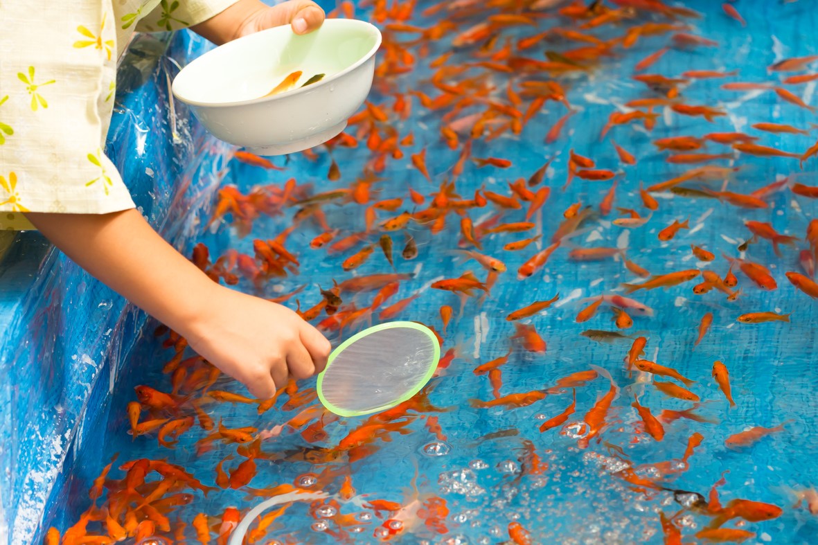 夏祭りと言えばのイメージ画像