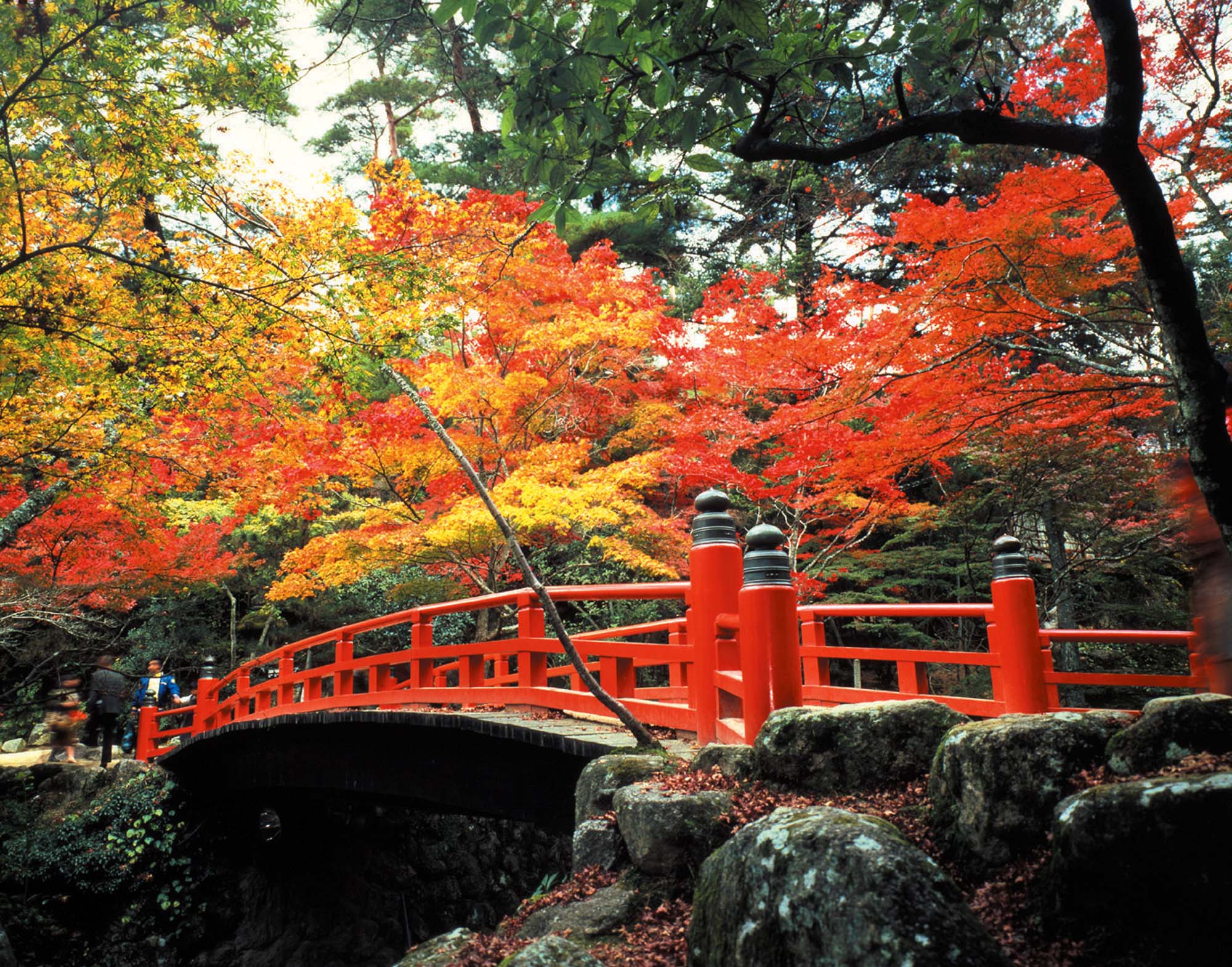 安芸の宮島のイメージ画像