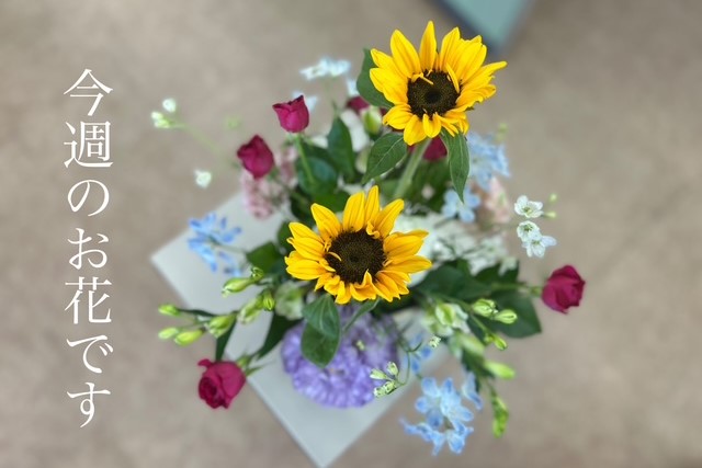 今週のお花ですのイメージ画像